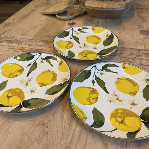 Pottery Barn Enamelware 8” Salad Plates W/Lemons-3