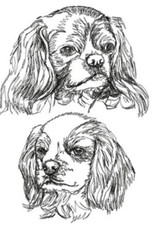 English Toy Spaniel Dog Personalize Embroidered Fleece Stadium Blanket Gift