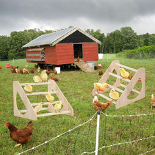 Chick Perch with Prevent Rotation Design and Strong Wooden Chicken Roosting B...