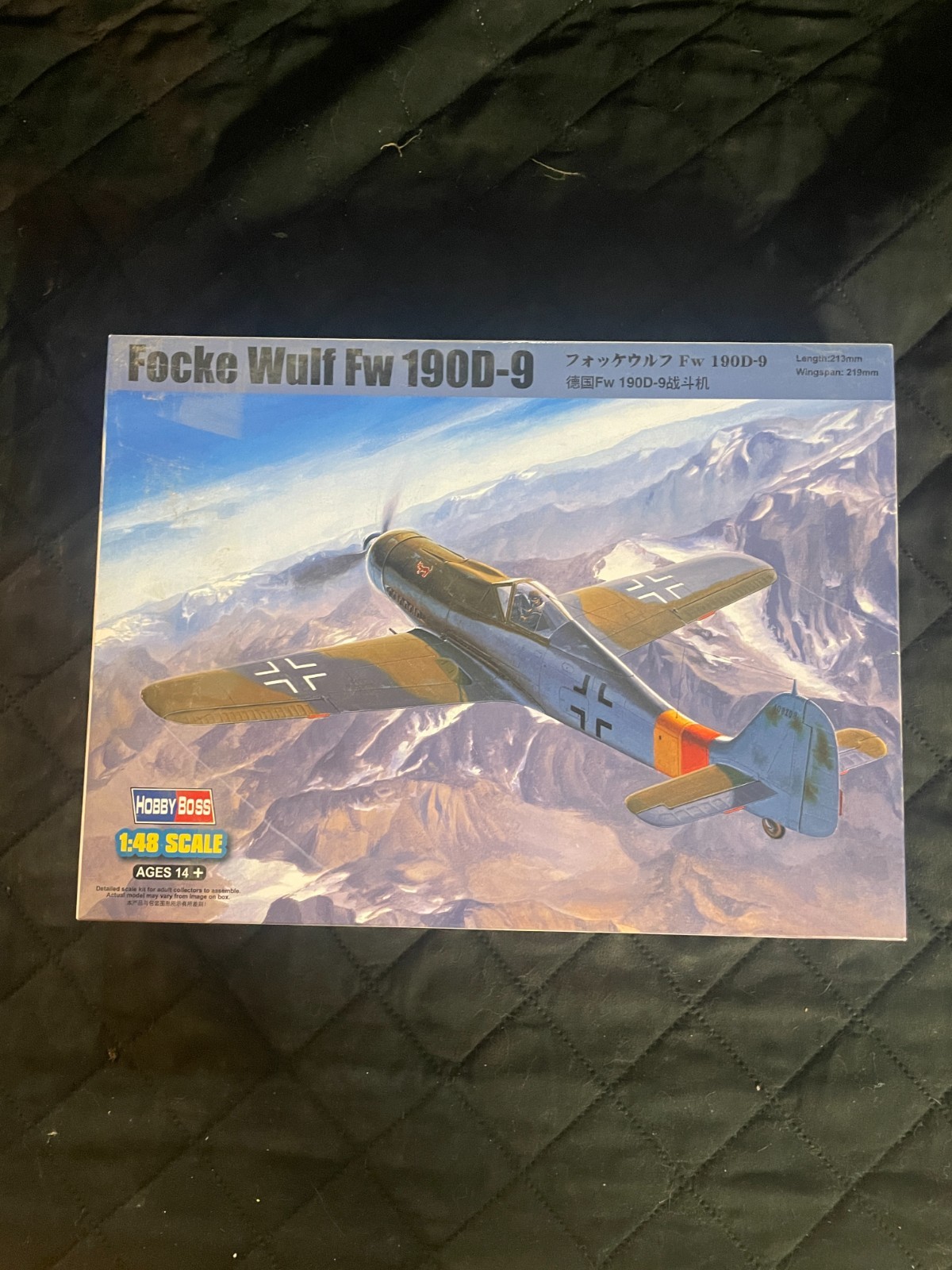 1/48 Scale Hobby Boss Focke Wulf FW 190D-9 Airplane Model Ki