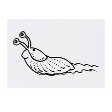 'Slug' Temporary Tattoos / Transfers TO00028979 