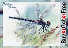 Libelle auf wildem Gras 5"x7" Druck auf mattem Papier | Insekt Natur Kunst