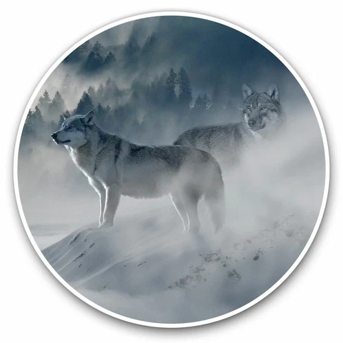 2 x Vinyl Stickers 20cm - Wild Wolf Snow Forest Winter Wolves Cool Gift #8107