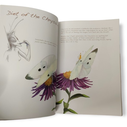A Field Guide to Chrysalies: They're Not Faeries Chrysalis Butterfly Paul Keskey - Imagen 9 de 10