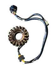 stator allumage 300 tm racing