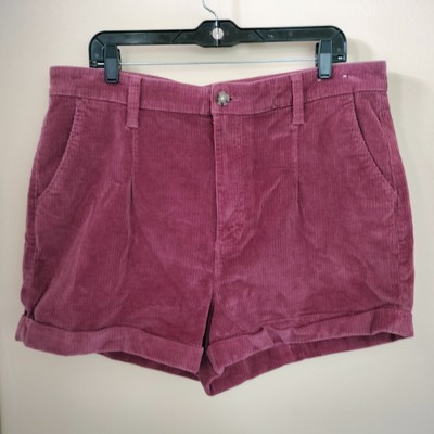Express Shortie Extreme High Rise Corduroy Mauve Shorts 16 Festival Preppy
