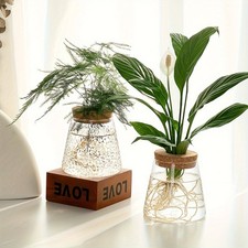 Glass Planter Propagation Station Vase Rack for Hydroponic Plants
