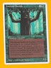 MTG IRONROOT TREEFOLK Summer Magic (Edgar) (OldManMTG 013-355)