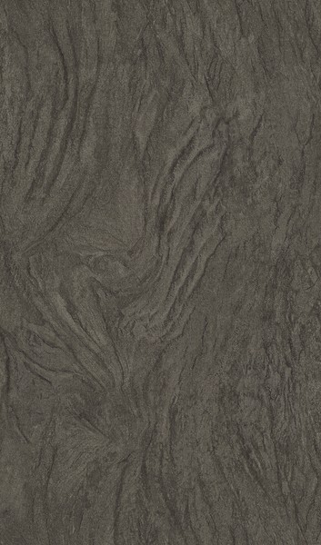Rasch Tapete Selection 503951 Schwarz Silber Grau Stylisch Baumstamm-Optik Vlies-image