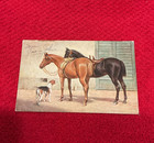 E. P. Dutton & Co. Ernest Nister Horse & Dog Lithograph Postcard 1901-1907 — photo 1