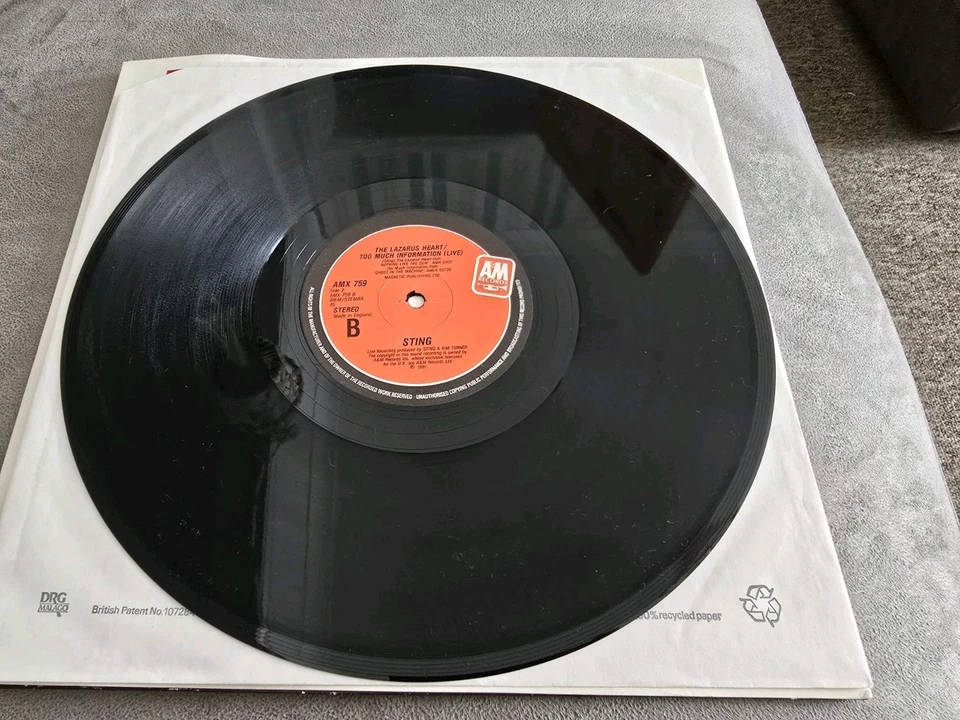 Sting - The Soul Cages - UK Limited edition tour 12" single - Image 4 of 4