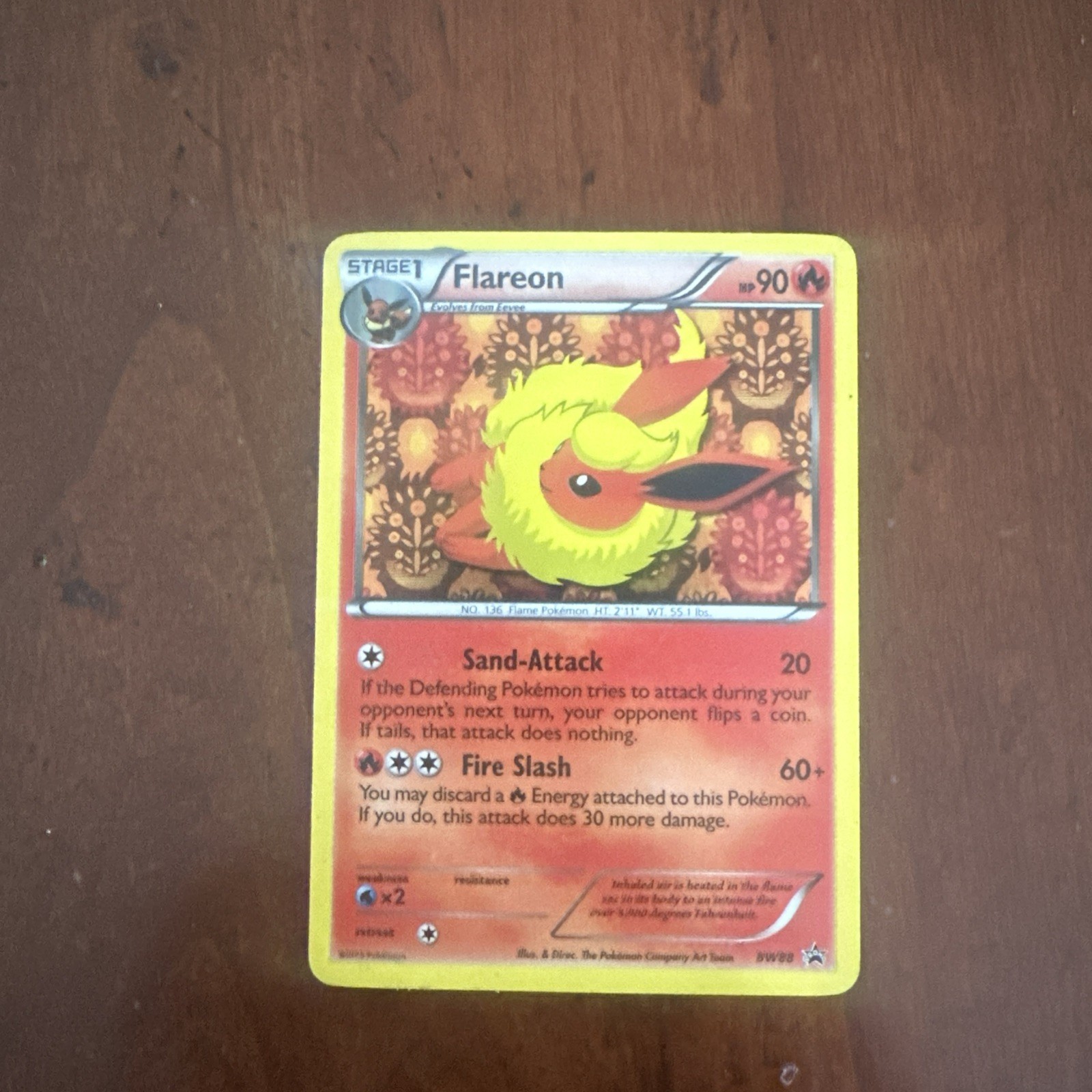 Pokémon TCG Flareon BW88 Black and White Promo Rare Holo - DMG 🔥