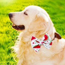 Puppy Bows Large dog bow bowtie seasonal collar slide flower accessory DC9