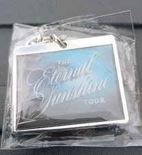 Raro Nuevo 2026 Ariana Grande The Eternal Sunshine Tour Llavero Exclusivo