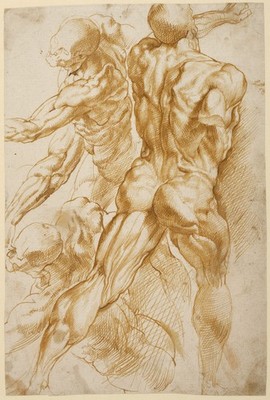 Peter Paul Rubens Flämisch 1577 1640 Anatomische Studien Kunstdruck Poster Wanddeko