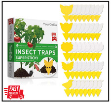 40 Pcs 5 Shapes Yellow Extremely Sticky Traps for Fruit Fly, 40 Pcs,