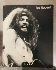TED NUGENT ORIGINAL RARE 70s EPIC RECORDS  STORE CARDBOARD PROMO DISPLAY