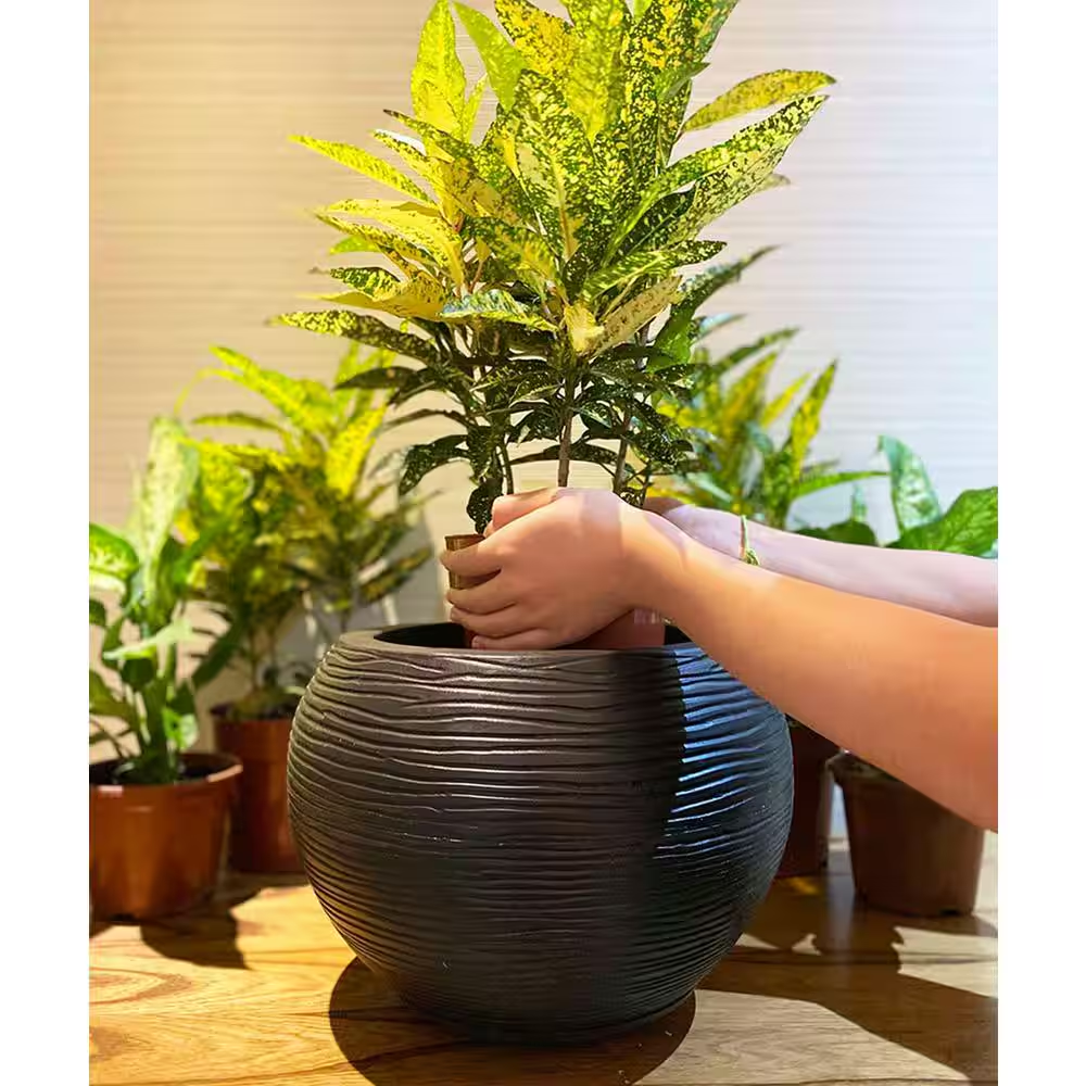 Florence Medium Black Plastic Resin Indoor and Outdoor Planter Bowl