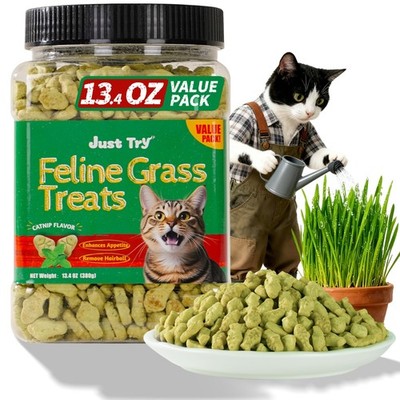 13.4 OZ Cat Grass Treats Natural Salmon Flavor Healthy Cat Snacks Training Biscu