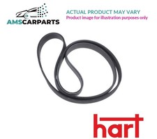 DRIVE BELT MICRO-V MULTI RIBBED BELT 338 053 HART NEW OE REPLACEMENT