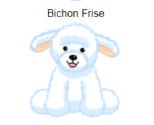 Webkinz Classic Bichon Frise Code Only messaged