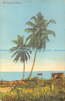 R421303 438 Kokospalmen C M S Buchhandlung Lagos