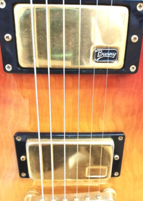 BURNY / LS SERIES | eBay