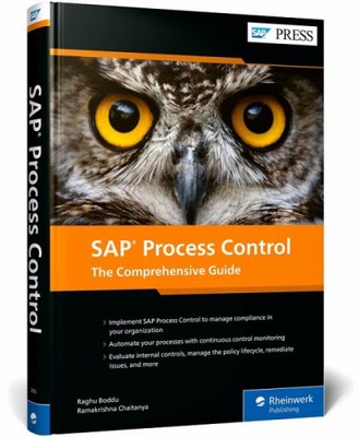 SAP Process Control|Raghu Boddu; Ramakrishna Chaitanya|Gebundenes Buch|Englisch