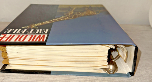 Wildlife Fact File - Picture 6 of 16