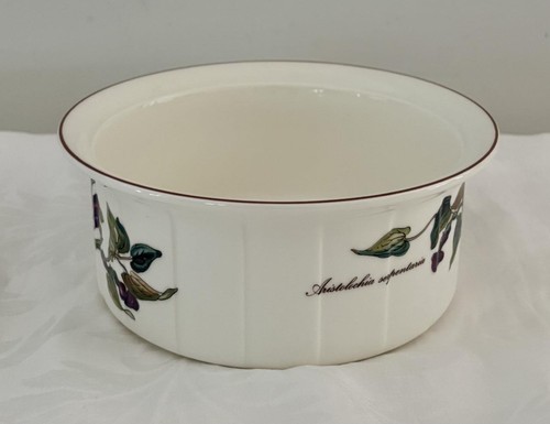 Villeroy & Boch Botanica 7.25"x3" Souffle Dish Bowl Baker Aristolochia Excellent - Picture 4 of 7