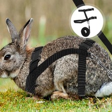 Baby Rabbit Harness Leash Adjustable Bunny Accessories for Rabbits