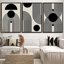 Drsoum Large 24x36in Black and White Abstract Framed Wall Art Decor Duotone M...