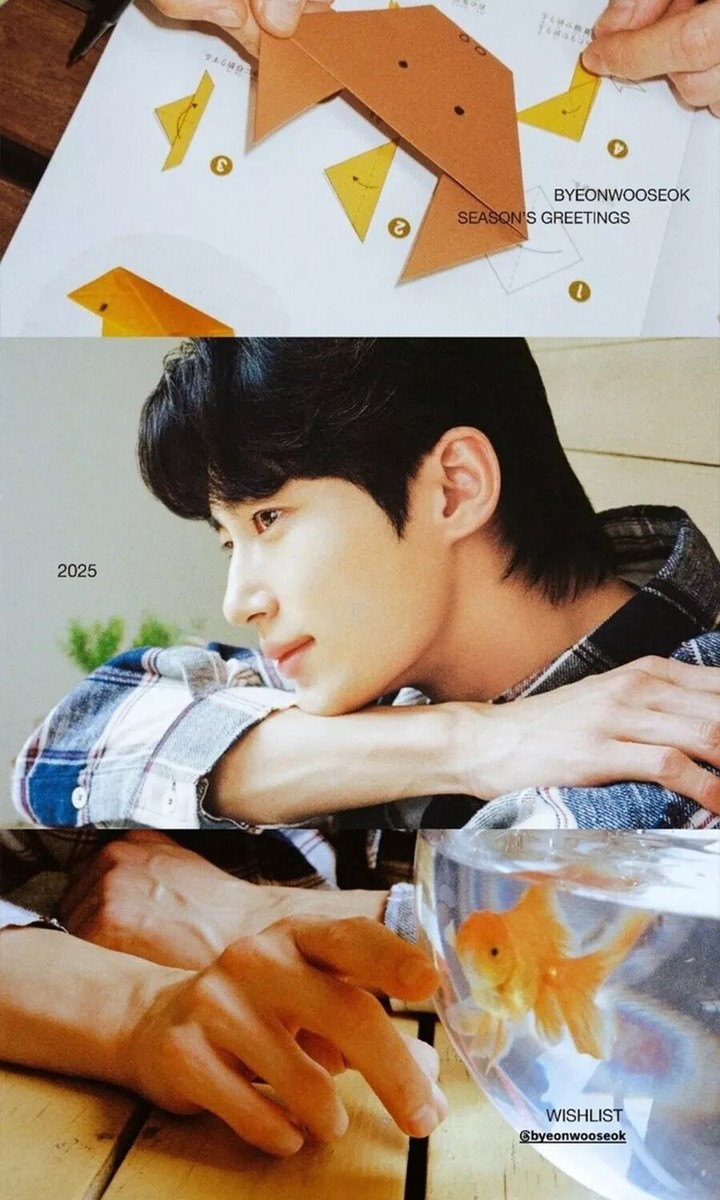 その他 BYEON WOO SEOK 2025 SEASON'S GREETINGS BYEON WOO SEOK - 2025 Season's Greetings - K PLACE