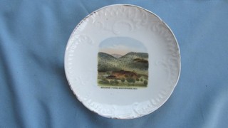 1890's Idaho Springs Colorado Newhouse Tunnel Wheelock Souvenir China Plate