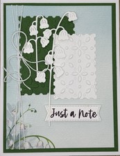 Stampin Up Any Occasion