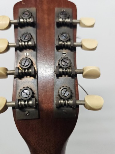Regent Bowl Back Mandolin by Vega Company - Picture 13 of 24