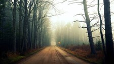 Landscape road trees forest nature dirt mist Custom Gaming Mat Desk