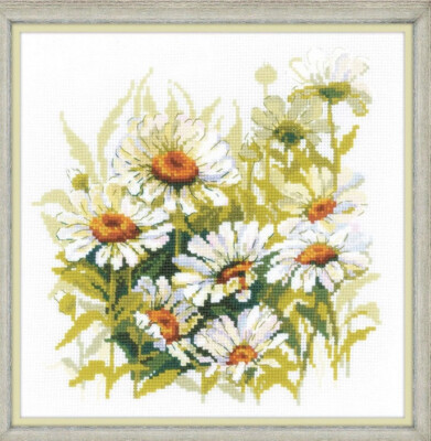 RIOLIS Cross Stitch Kit Chamomiles 11.75x11.75 Inches 1765