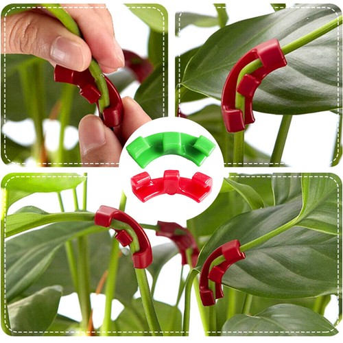50/100X Training-Pflanzen Wachstumstrainer Clips Zweighalter Pflanzenbieger DE - Bild 16 von 23