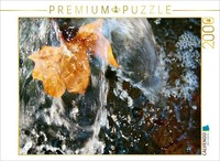 Calvendo Puzzle Leaf In The Water Feature | 2000 Pieces, Finished Size 35.4 × 26