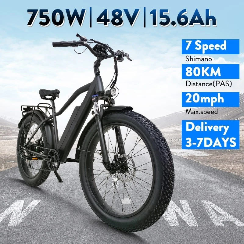 Bicicleta eléctrica de ciudad ligera 1000W 48V 25 mph 33 kg carga 120 kg bicicleta eléctrica para adultos Foto 2 de 4