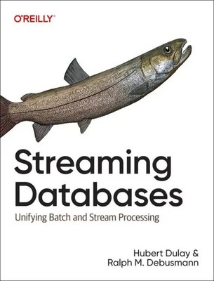Streaming Databases | Building Real-Time, User-Facing Solutions | Dulay (u. a.)