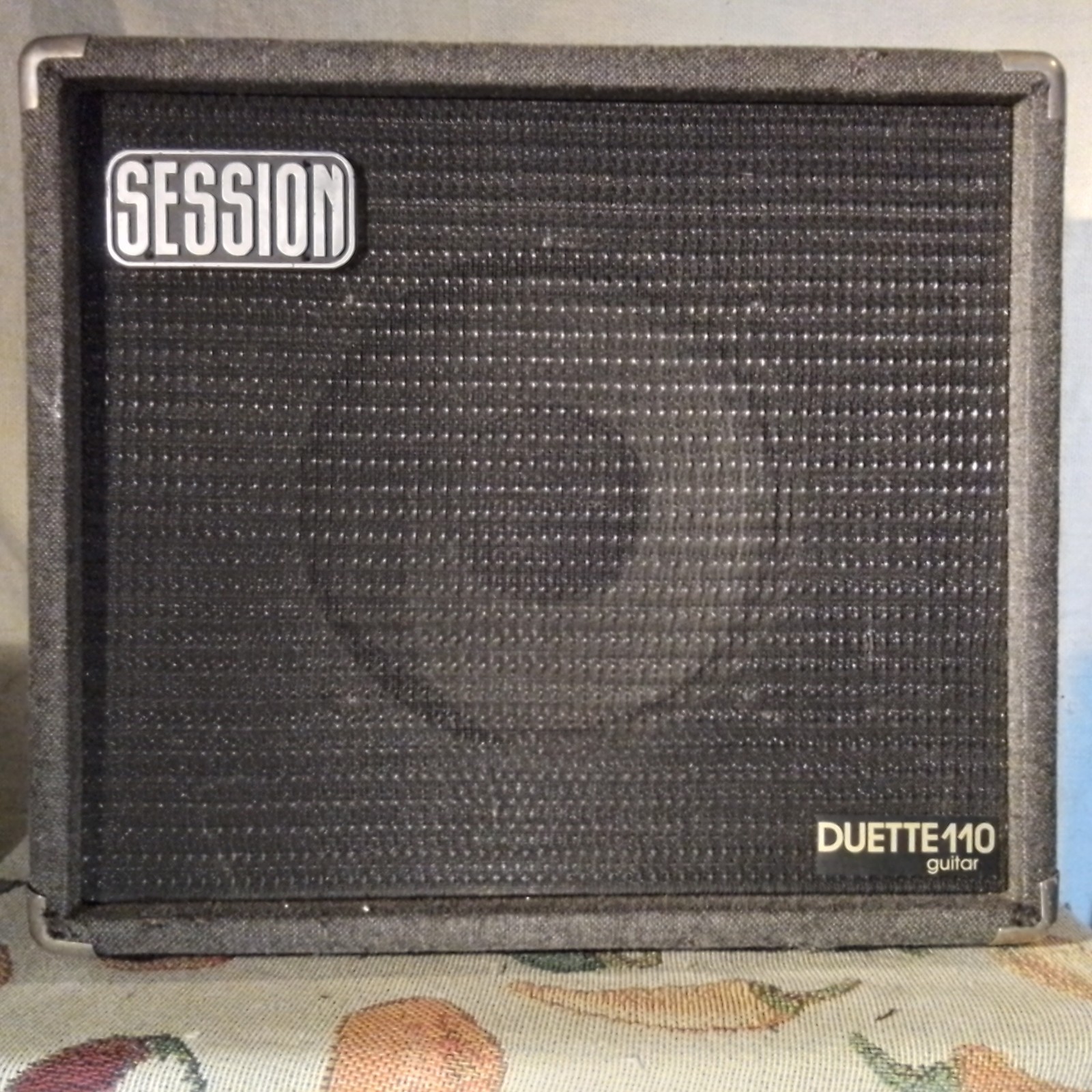 Session Duette 110 aka RG-30 Guitar Amplifier 80s Transitor Dual Input Vintage