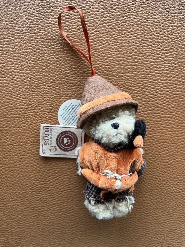 The Boyds Collection Lil’ Einstein Mini Bear Scarecrow Ornament Plush #562425