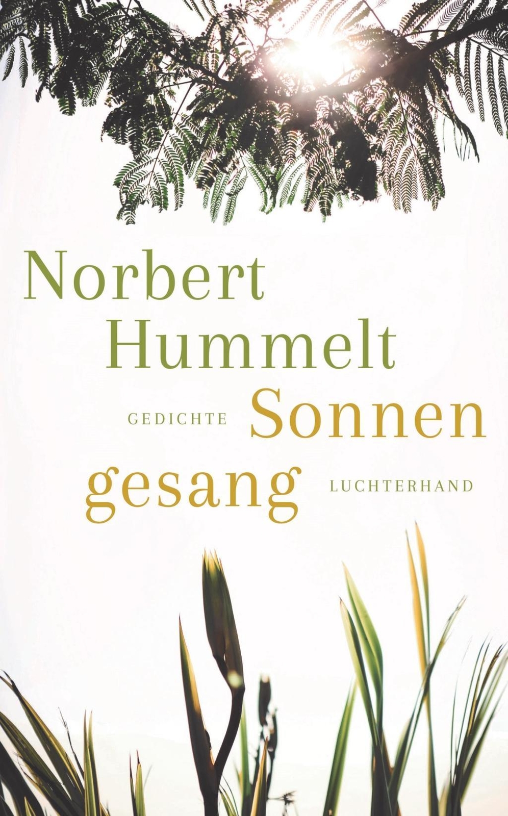 Sonnengesang | Buch | 9783630876306