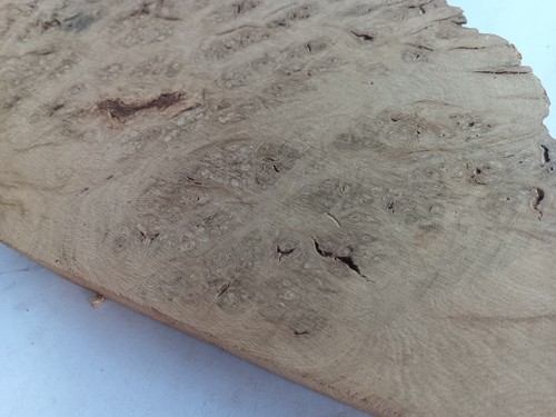 560x280x30mm Full Burr Oak Hardwood Timber Plank 170628 - Picture 9 of 10