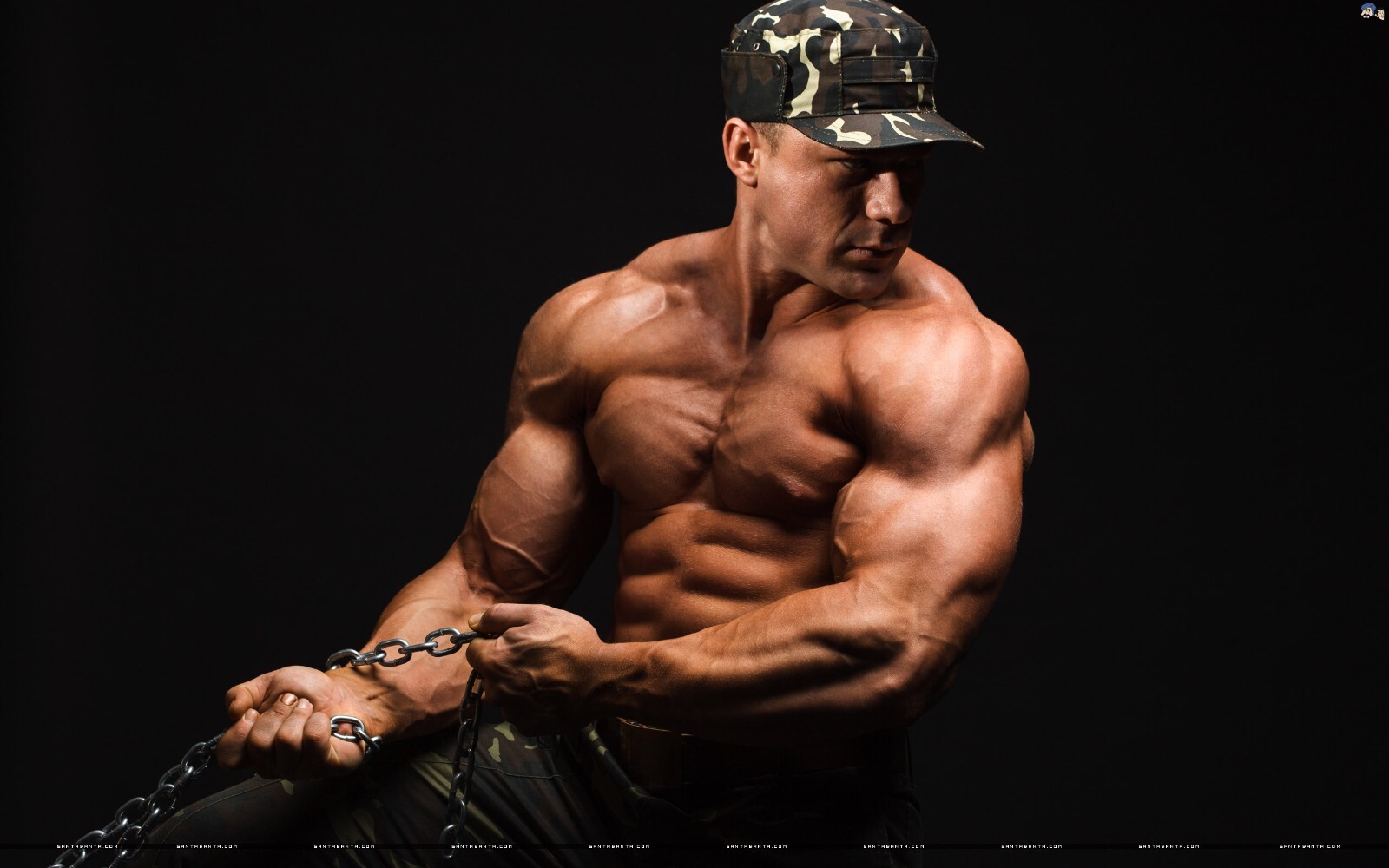 Muscle-building performance - TRIBULUS TERRESTRIS - Natural energy supplement 3B