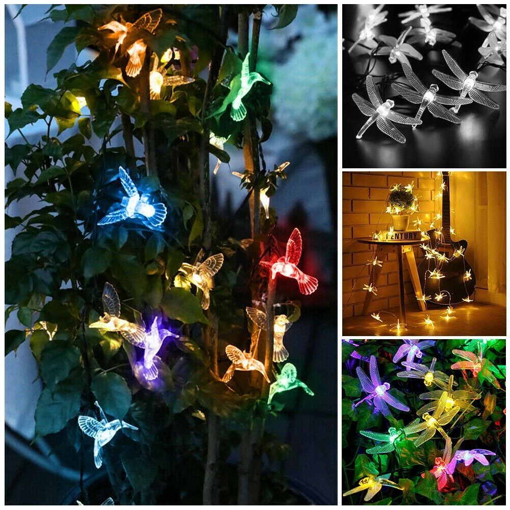 Led 2024 hummingbird lights