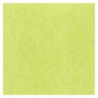 The Gift Wrap Company Solid Gift Tissue Lime (145amz-27) on sale The Gift Wrap Company Solid Gift Tissue Lime (145amz-27) on sale