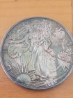 1988 American Silver Eagle 1 Oz .999 Fine Silver Coin Toned Bullion
